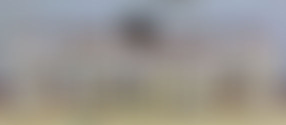 Clinique de karaté et passages de grade avec sensei Katsumata