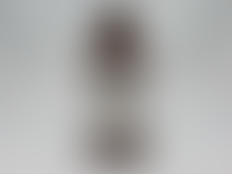 株式会社三商 新商品情報