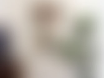 Interior Painting Essentials: A Guide for Homeowners