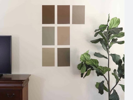 Interior Painting Essentials: A Guide for Homeowners