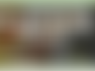 展示会・イベント情報