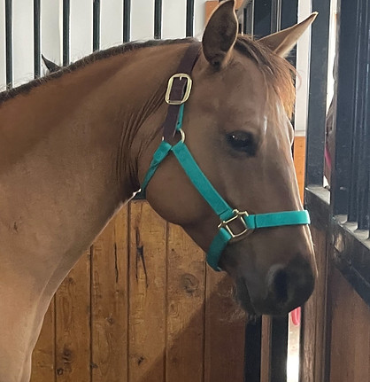 close nose_edited.jpg