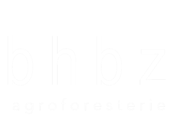 Logo SF BHBZ.png