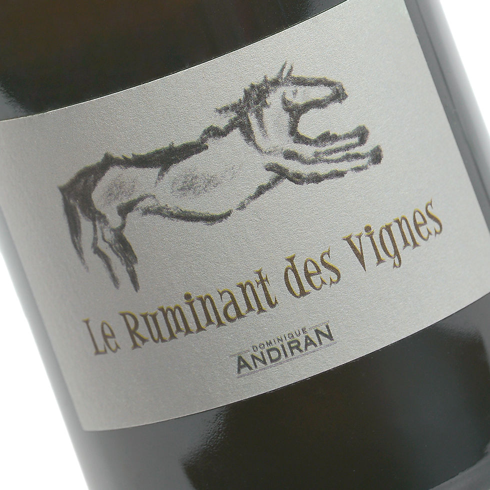 Dominique Andiran - Le Ruminant des Vignes