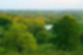 Paysage D946_.jpg