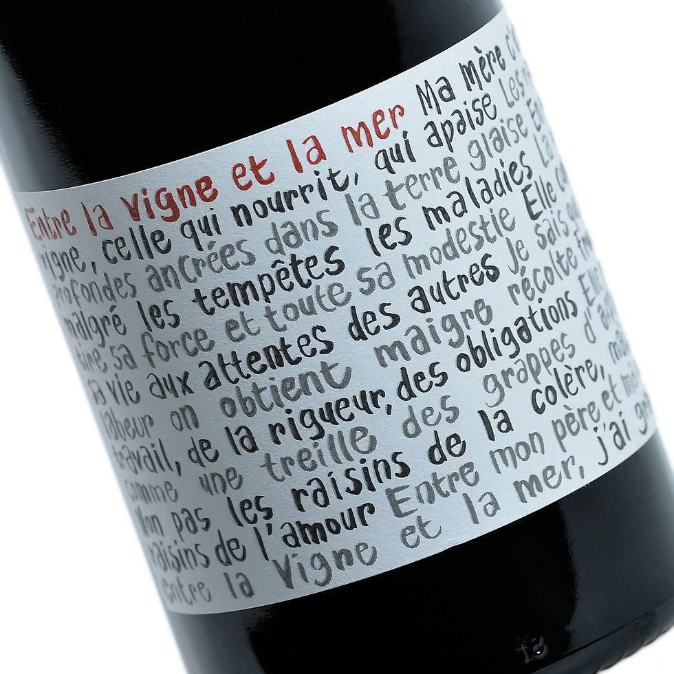 Pierre Cros - La Vigne et la Mer