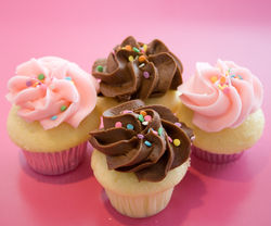 24.2 mini cupcakes