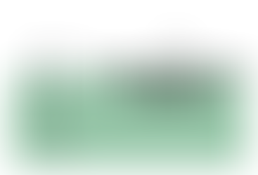 WHAT ABOUT THE BIRDS?