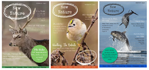 NEW NATURE MAGAZINE