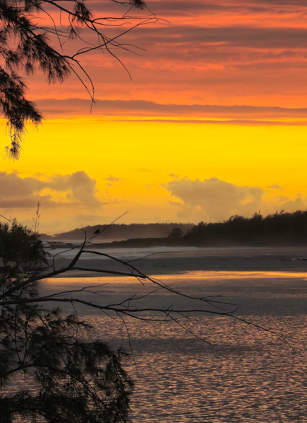 Accéder au Champ Unifié