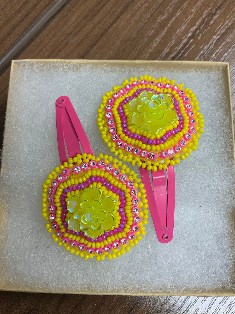 Hair Clip Set