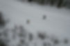 DJI_0237.JPG