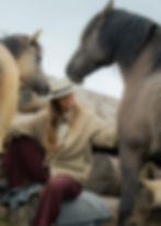 Workshop mit Pferden auf der Farm