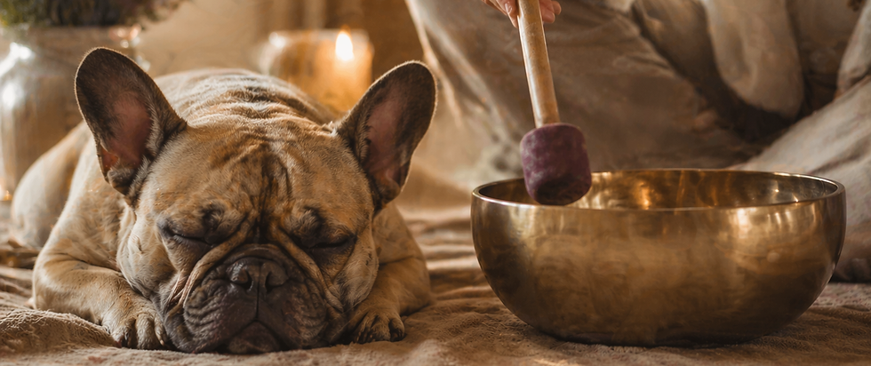 ChatGPT Image 21. Apr. 2026, 22_45_58.png