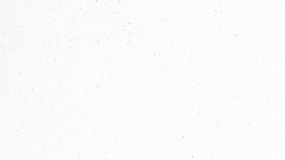 fondo claro_edited.jpg