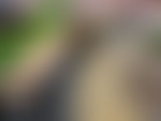 Which Are Important Things Should Know In The Purchasing Of Locker?