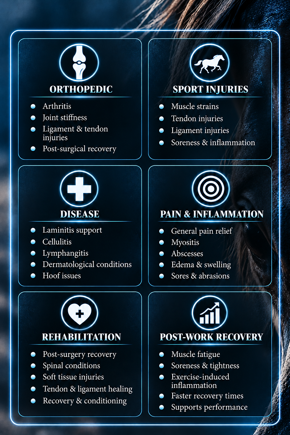 Equine Therapy Support Infographic.png