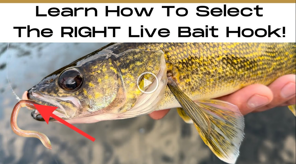 best overall fishing rod and reel The Best Spinning Combos: The Easy Button for Solid Rod and Reel Setups