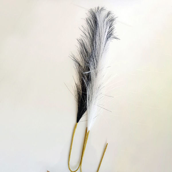 תמונה ממוזערת: נוצת משחק זוגי