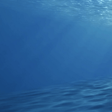 רקע לדולפין (1).gif