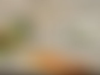 ויטרינות : מפתחות, פרופילים ועוד