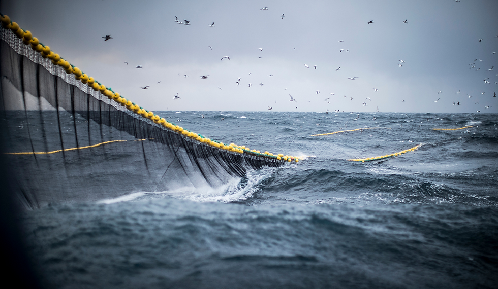 Fishing Ropes Haggie Steel Wire Rope