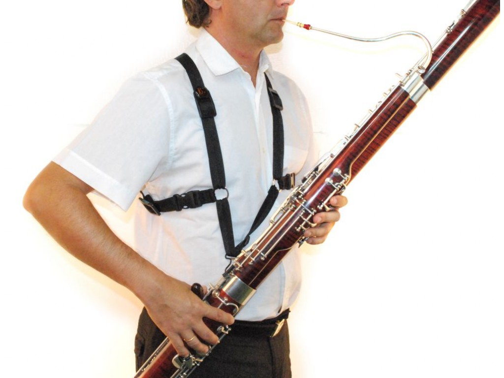 C Est Pas Sorcier Accordons Nos Violons L'orchestre symphonique | groovee-music