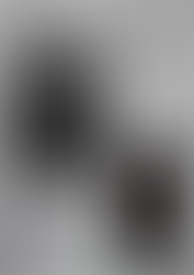 Mélodies sans Frontières, Racines Communes. Concert.