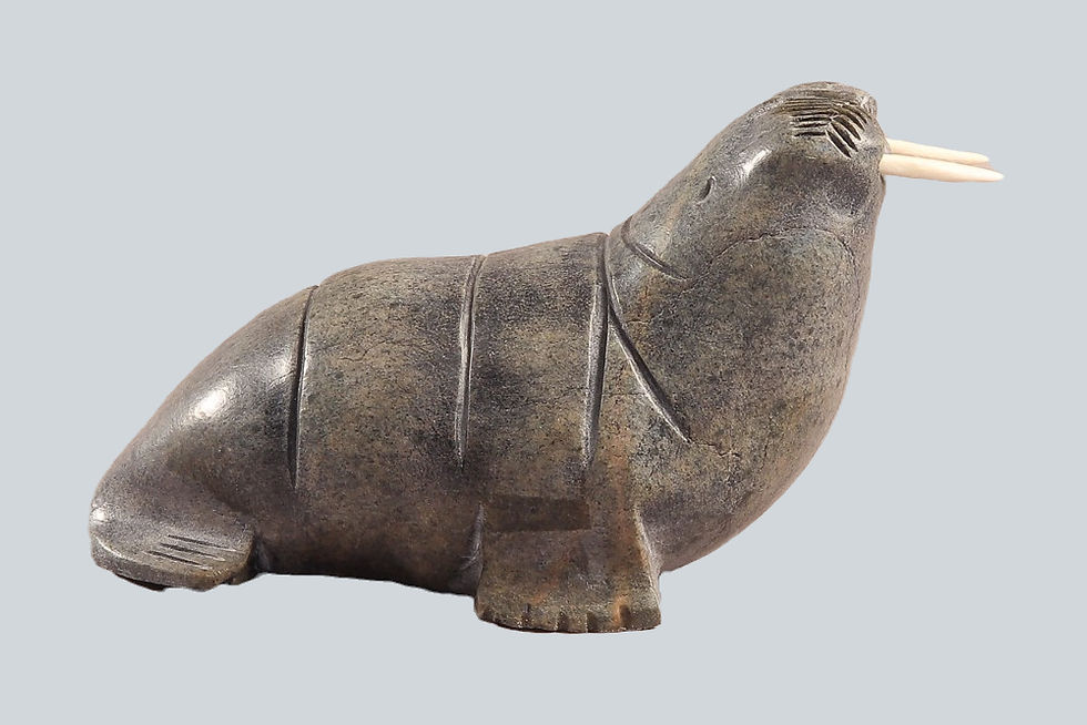 Walrus