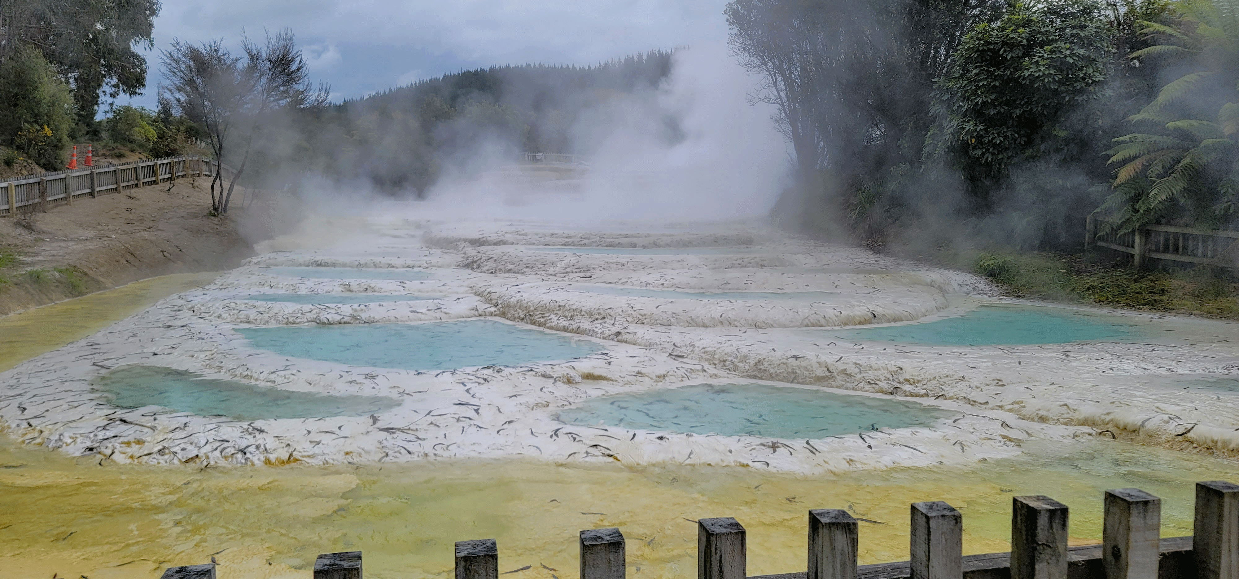 Wairakei Terraces Hot Springs