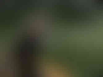 Chinese-Friendship-Garden-Australian-Water Dragon