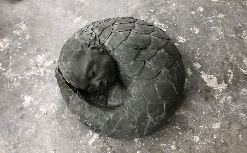 'Fragile' 2023