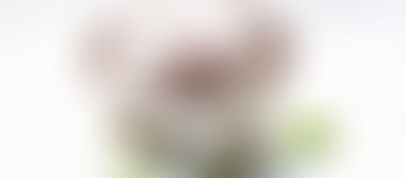 Pudding before main course