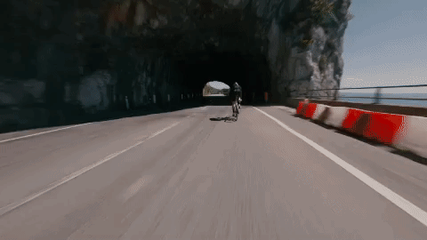 BOTDYNAMICPIC.gif