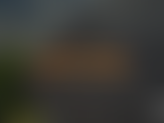 Angled view of a dark gray shingle roof under a partly cloudy sky, with trees visible along the edge. Orange overlay text reads ‘Control the claim. Protect the margin.’ A Build Ops HQ logo appears in the bottom-right corner