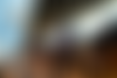 Cómo Convertir el Impulso de las Ferias en Éxito Durante Todo el Año en el Sector de Techos