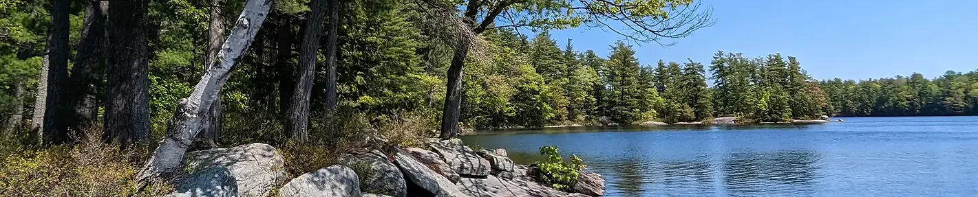 Peaceful scene showing trees along the shore of a lake