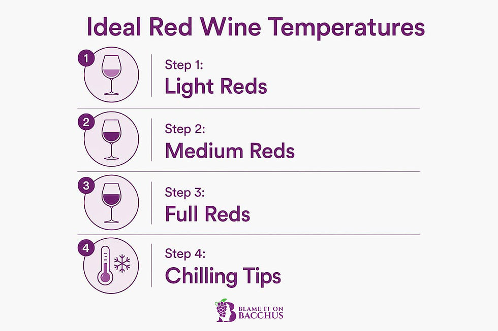 Infographic showing stepwise guide for chilling red wine