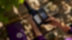 Close-up of hands scanning wine bottle label with phone