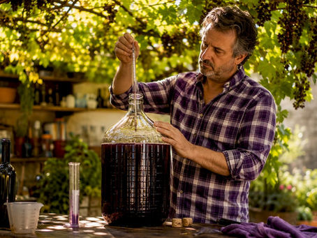 Man checking wine fermentation with hydrometer