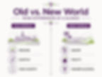 Split infographic showing Old vs New World wine differences