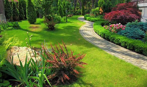 complete-landscaping-service-image