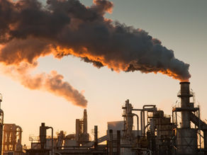 Por que a Martine não utiliza PVC e a importância de escolher fornecedores conscientes