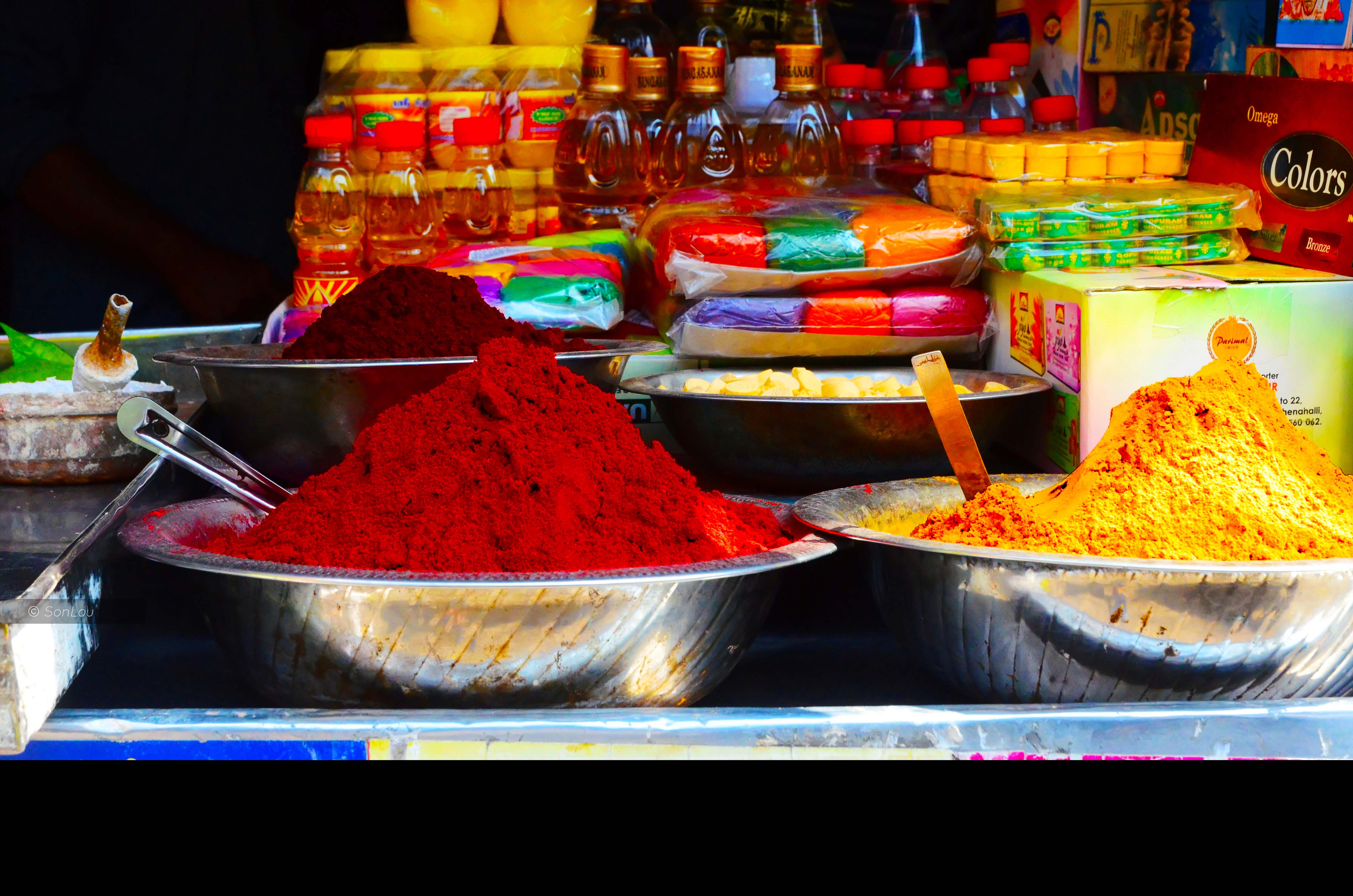 Accueil Southview Tours Agence de voyage en Inde du Sud