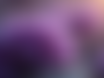 Why The Crystal Empire is Your Ultimate Destination for Crystals