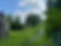 graves&tree_1.jpg