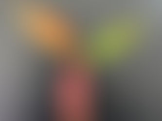 Performance reviews: The season of sharing (Part 3: Plan for the future)