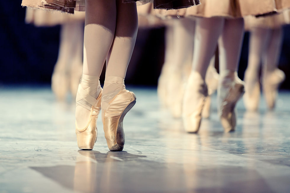 Ballet Pointe Shoes