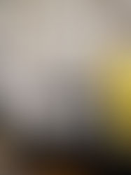 Kaleidoskoopiline vaade festivalile “Musica nova”