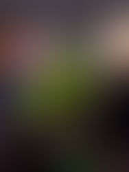 Tänuõhtu Eesti muusikaõpetajatele